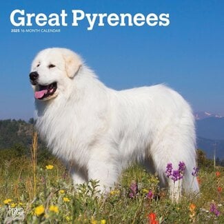 Browntrout Calendario del cane da montagna dei Pirenei 2025