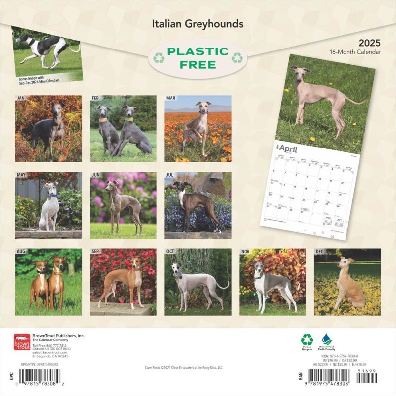 Buy Italian Greyhound Calendar 2025 Order easily online