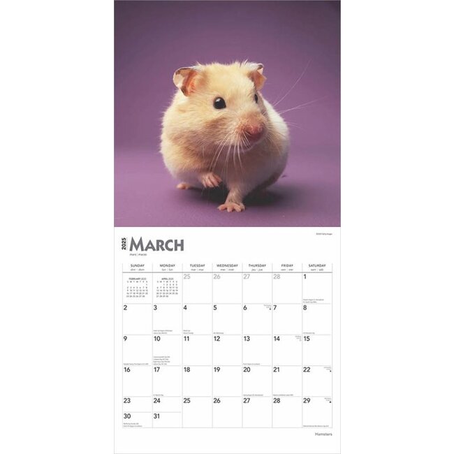 Hamster Calendar 2025 Buy Order online easily Kalenderwinkel.nl