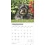 Havanese Calendar 2025