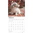 Havanese Calendar 2025