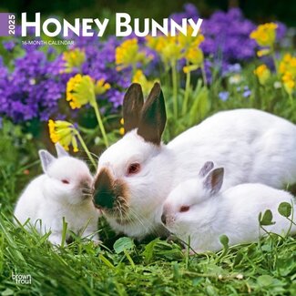 Browntrout Rabbits Calendar 2025