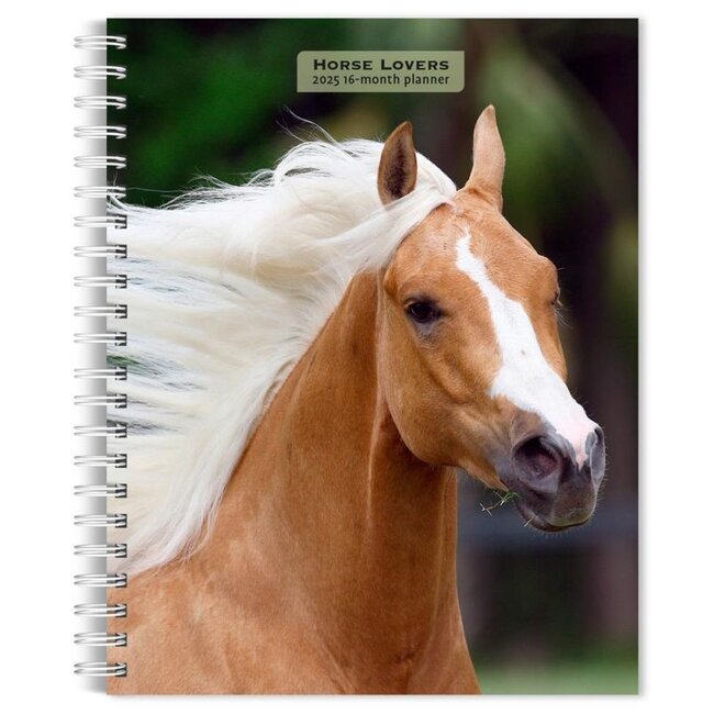 Paarden Agenda 2025