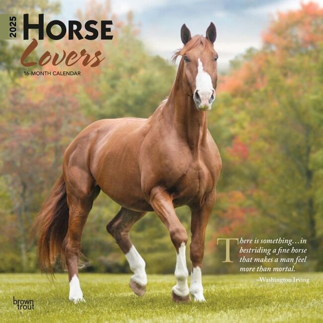 Horse Lovers Kalender 2025