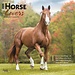 Browntrout Calendario de los amantes de los caballos 2025