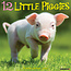 Calendario 12 Little Piggies 2025