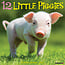 Willow Creek 12 Little Piggies Calendar 2025