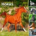 Browntrout I Love Horses 366 Days Calendar 2025
