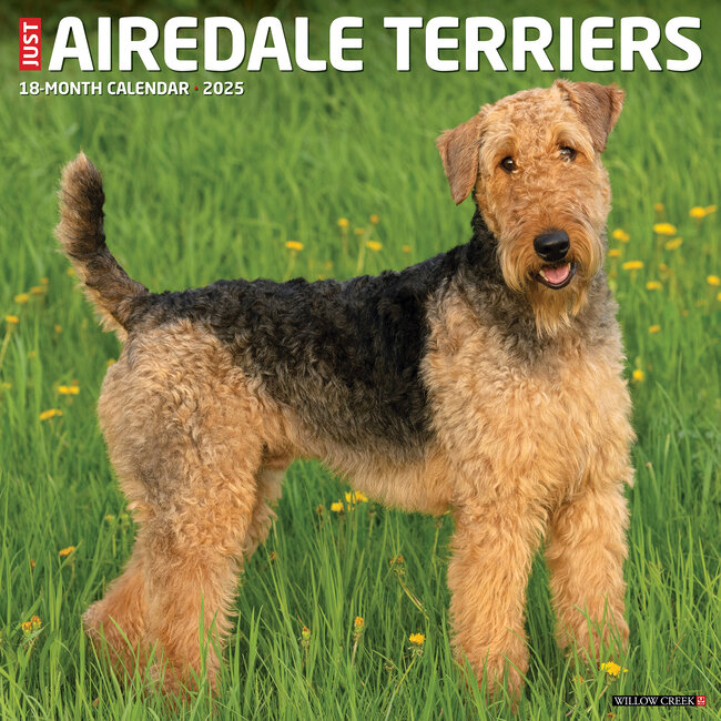 Willow Creek Airedale Terrier Kalender 2025