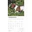 Jack Russell Terrier Chiots Calendrier 2025