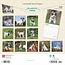 Jack Russell Terrier Chiots Calendrier 2025