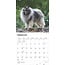 Keeshond Kalender 2025