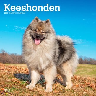 Browntrout Calendrier Keeshond 2025