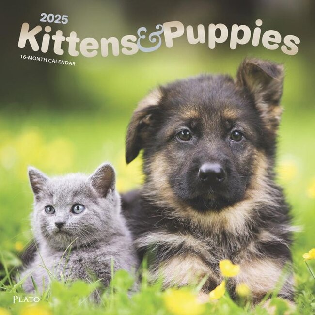 Kittens and Puppies Calendar 2025