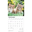 Kittens Kalender 2025