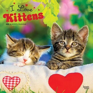 Browntrout Kittens Kalender 2025