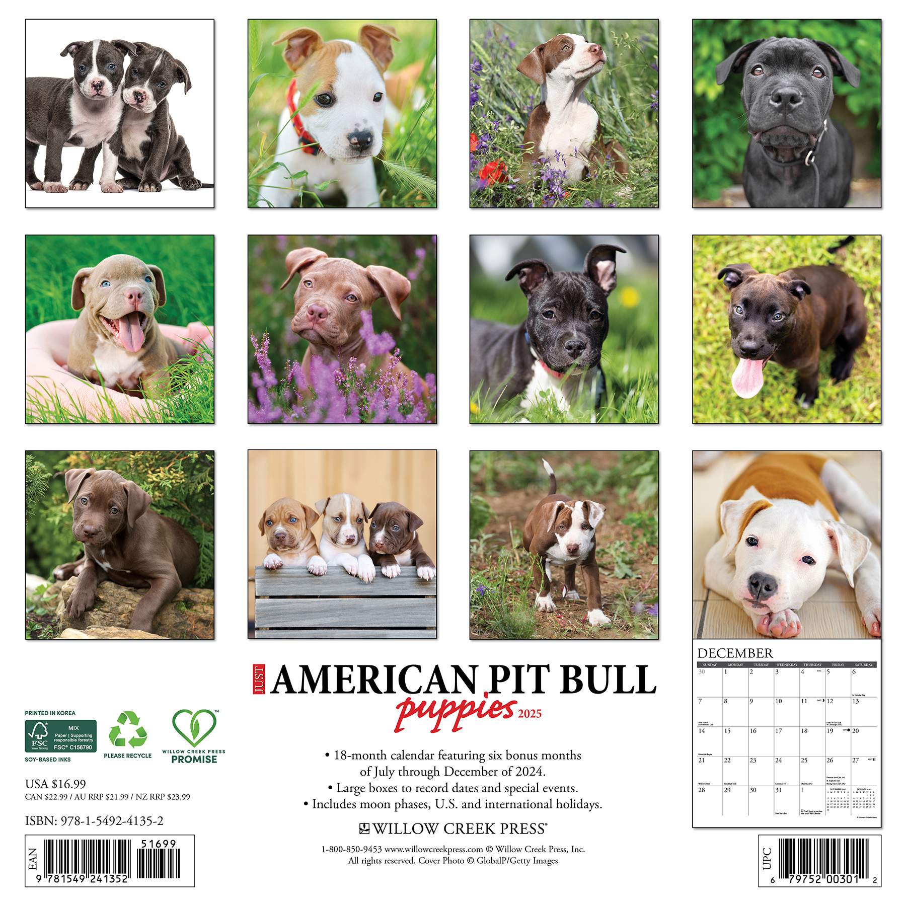 American Pit Bull Terrier Puppies Calendar 2025 Buy order imo