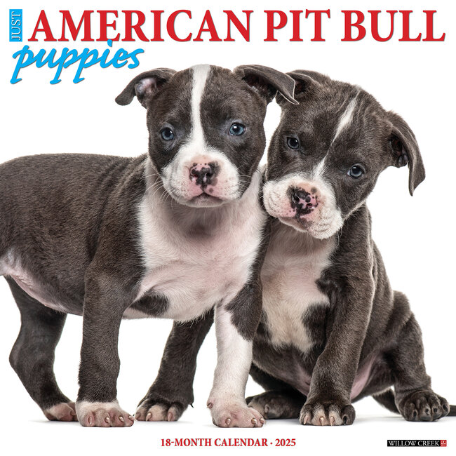 American Pit Bull Terrier Puppies Calendar 2025