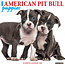 Willow Creek Calendrier des chiots Pit Bull Terrier Américain 2025