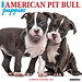 Willow Creek Calendario dei cuccioli di American Pit Bull Terrier 2025