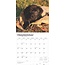 Labrador Retriever Calendrier noir 2025