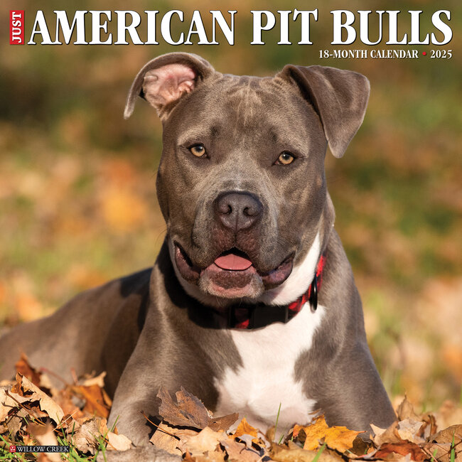 Willow Creek American Pit Bull Terrier Calendario 2025