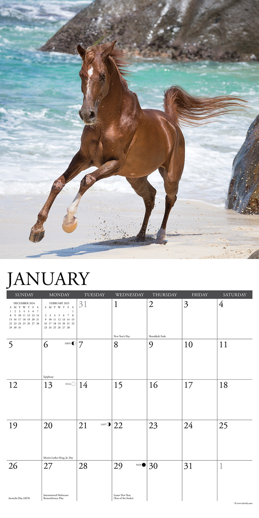 Buy Arabian Calendar 2025 Order easily online Kalenderwinkel.nl
