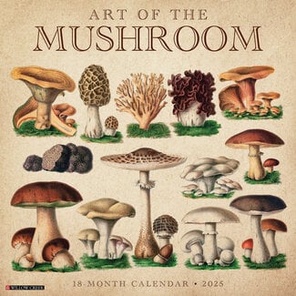 Willow Creek The Art of the Mushroom Calendar 2025