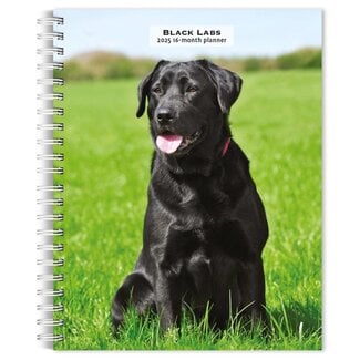 Browntrout Labrador Retriever Agenda nera 2025