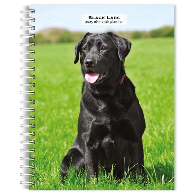 Labrador Retriever Agenda nera 2025