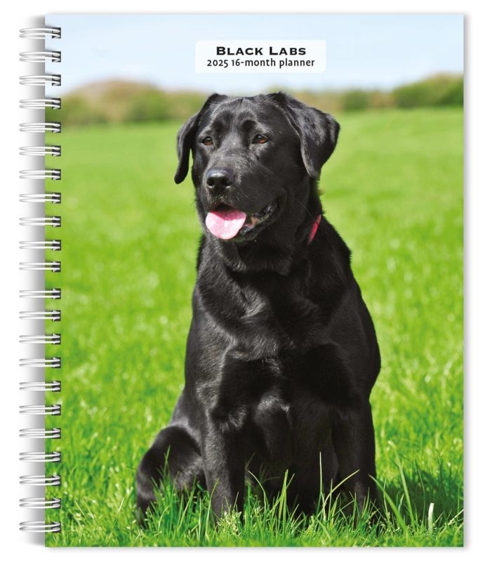 Labrador Retriever Zwart Agenda 2025