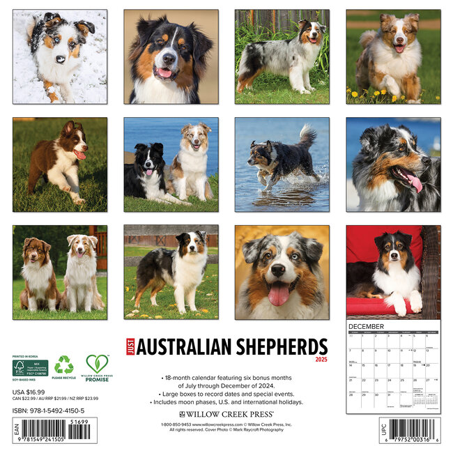 Australian Shepherd Calendar 2025 Buy Order easily online