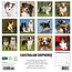 Australian Shepherd Kalender 2025