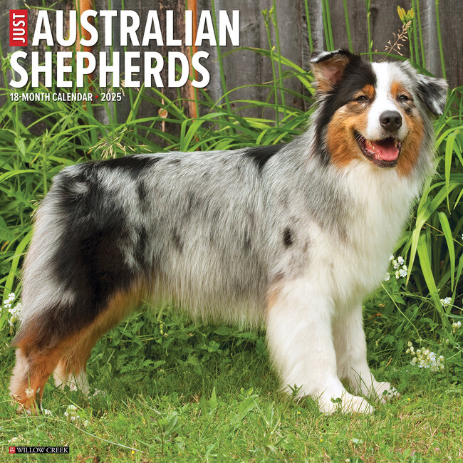 Willow Creek Australian Shepherd Calendar 2025