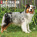 Willow Creek Australian Shepherd Calendar 2025