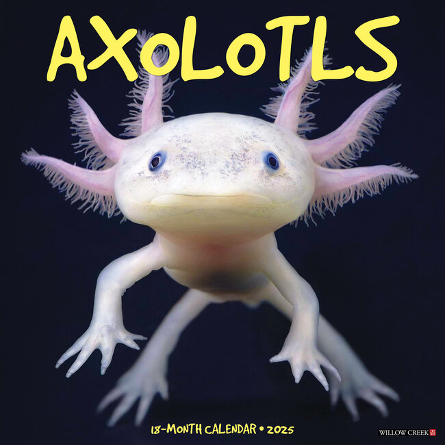Willow Creek Calendario Axolotls 2025