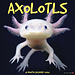 Willow Creek Axolotls Calendar 2025