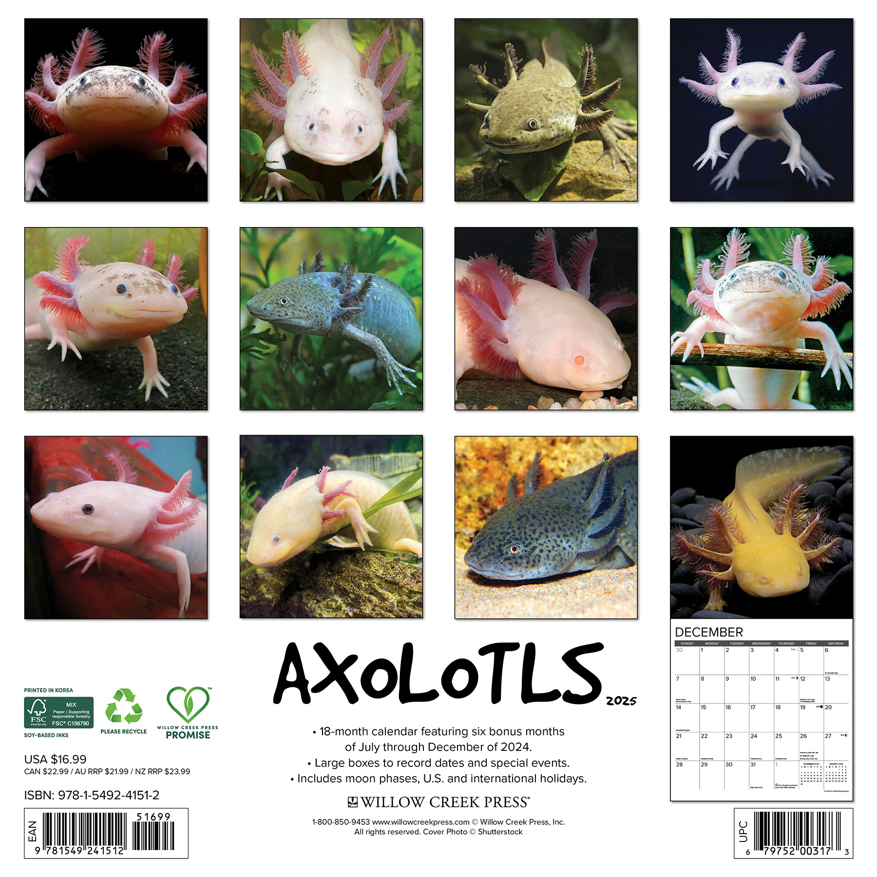 Buying Axolotls Calendar 2025 Order easily online Kalenderwinkel.nl