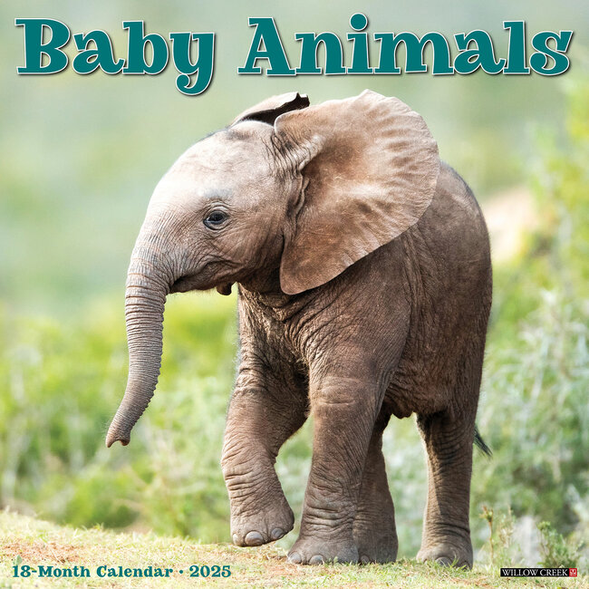 Willow Creek Baby Animals Calendar 2025