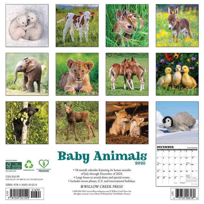 Buy Baby Animals Calendar 2025 Order easily online Kalenderwinkel.nl