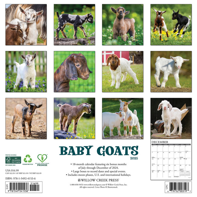 Buy Baby Goats Calendar 2025 Order easily online Kalenderwinkel.nl