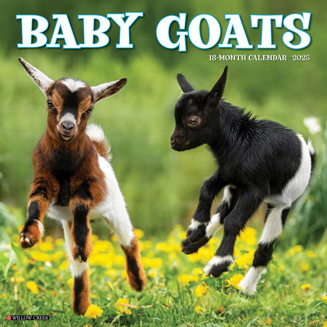 Willow Creek Baby Goats Calendar 2025