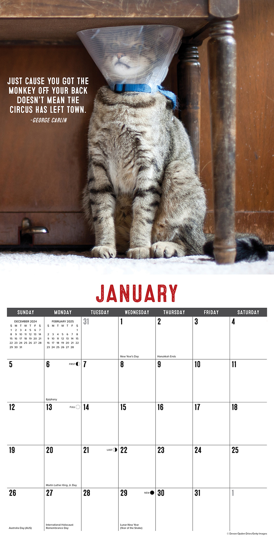 Bad Kitties Kalender 2025 Kopen? | Bestel eenvoudig Online