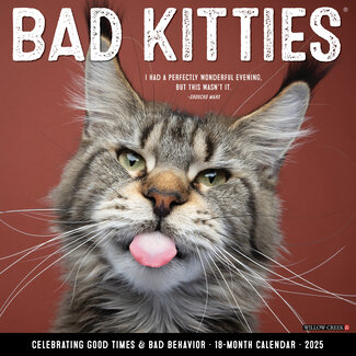 Willow Creek Bad Kitties Calendar 2025