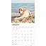 Calendario del Labrador Retriever biondo 2025