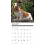 Basset Hound Kalender 2025