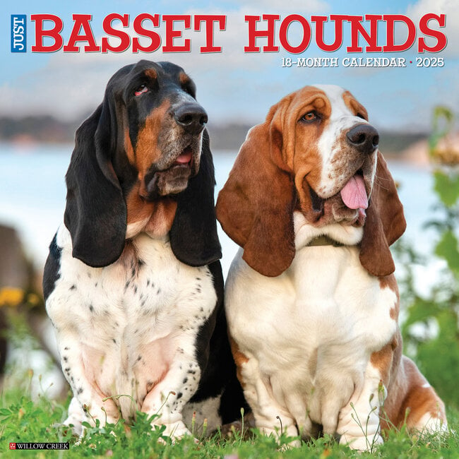 Calendrier Basset Hound 2025