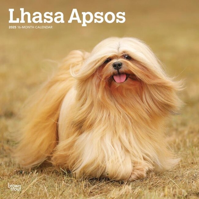 Calendario Lhasa Apso 2025