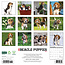 Calendrier des chiots Beagle 2025