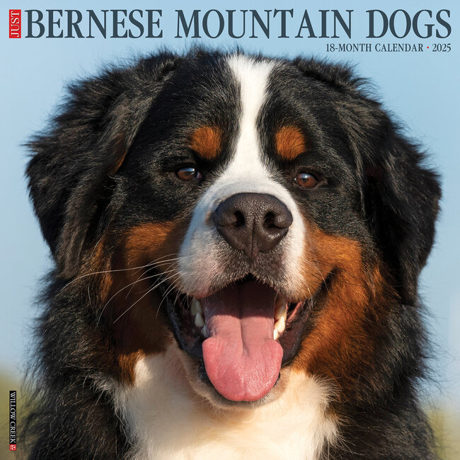 Calendario del cane da montagna bernese 2025